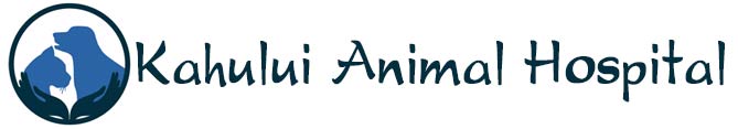 Kahului Animal Hospital